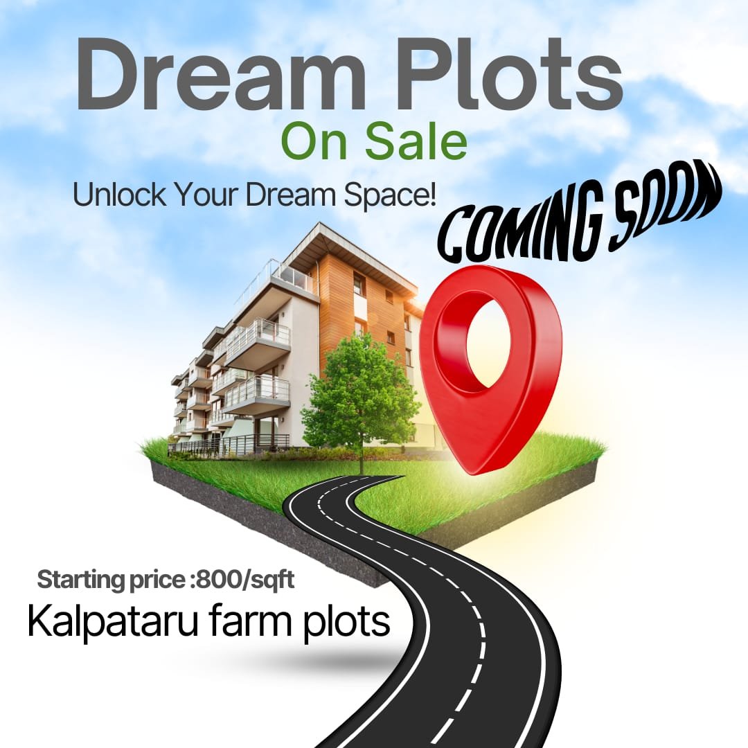 WhatsApp Image 2025-05-14 at 10.16.23 PM (1)