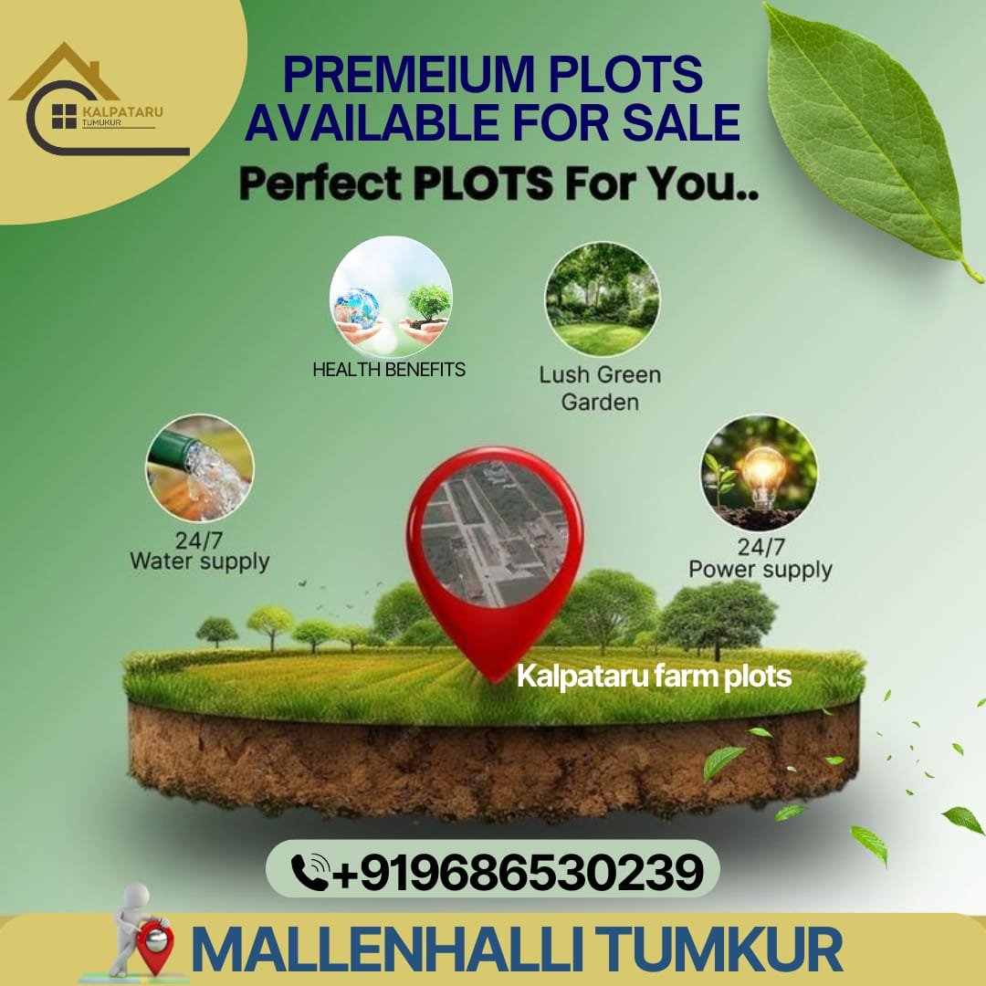 WhatsApp Image 2025-05-14 at 10.16.24 PM