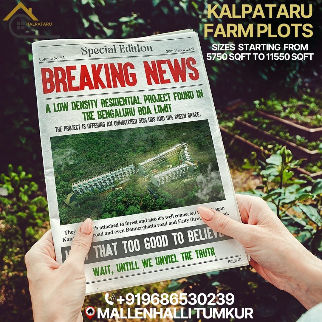 WhatsApp Image 2025-05-14 at 10.16.25 PM