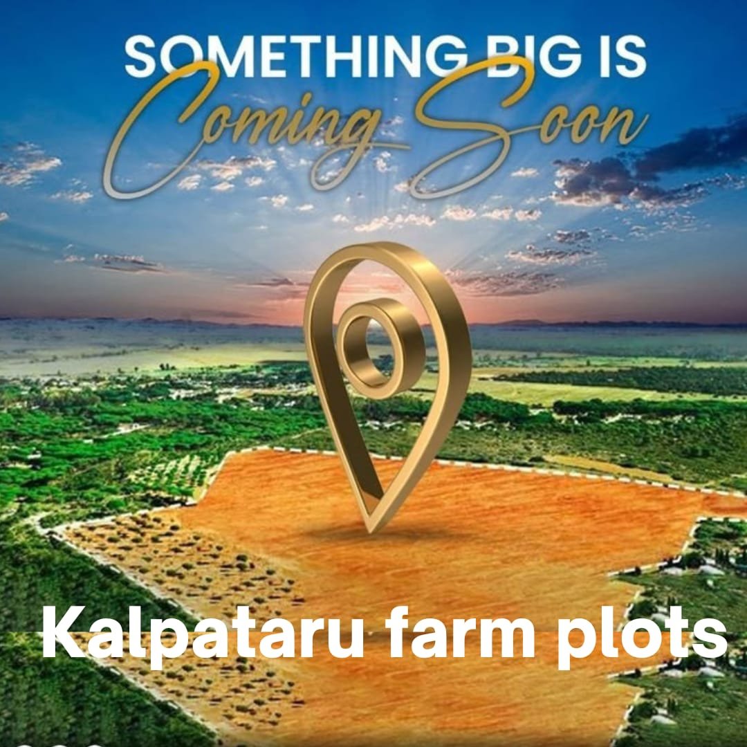 WhatsApp Image 2025-05-14 at 10.16.26 PM