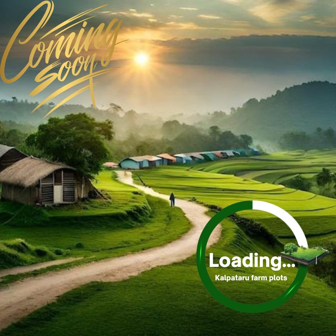 WhatsApp Image 2025-05-14 at 10.16.27 PM